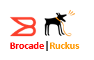 brocade-ruckus-logo