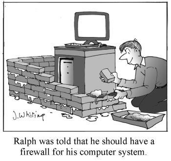Firewall Cartoon